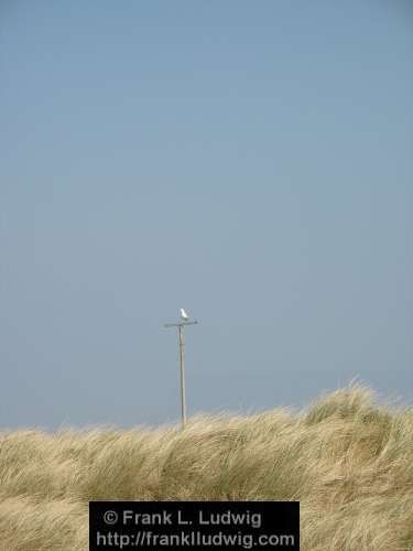 Strandhill